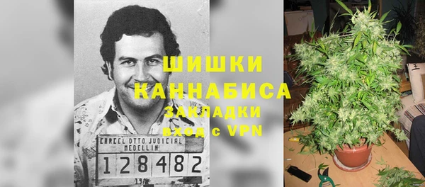 тгк Арсеньев