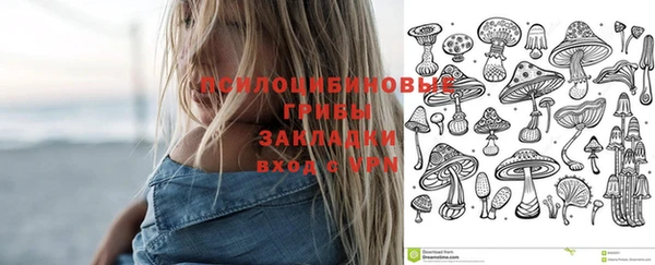 тгк Арсеньев