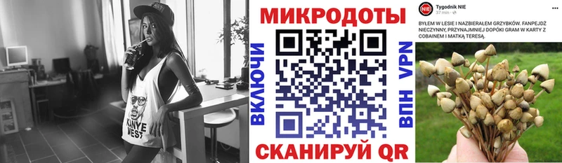 Псилоцибиновые грибы Cubensis  Нижний Ломов 